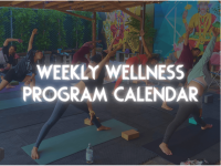 image of people doing yoga. text on top of image reads: weekly wellness program calendar